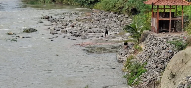 1000139601 2048x944 1 768x354