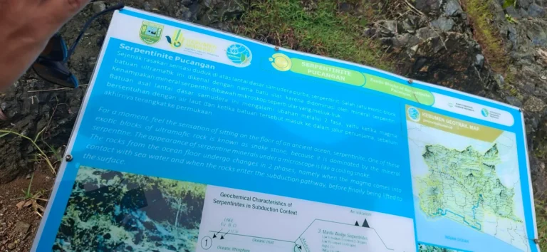 20251122 145258 1 2048x944 1 768x354