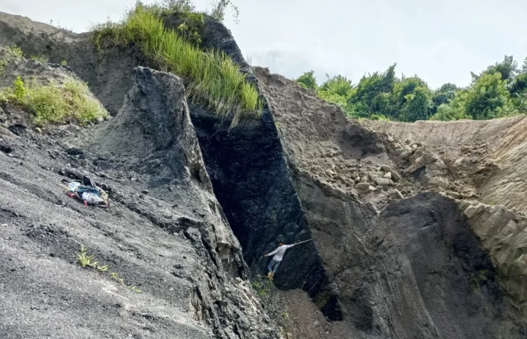 Singkapan Batupasir Batubara 1 768x494